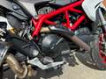 Ducati Hypermotard 939 Star White Silk Bianco - thumbnail 15