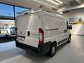 Fiat Ducato Passo Corto Blanc - thumbnail 5