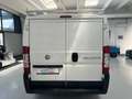 Fiat Ducato Passo Corto Weiß - thumbnail 6