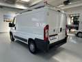 Fiat Ducato Passo Corto Bianco - thumbnail 7