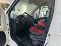 Fiat Ducato Passo Corto Bianco - thumbnail 9