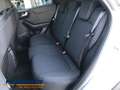 Ford Puma 1.0 EcoBoost MHEV Titanium LED ACC 360 KAMERA NAVI Silber - thumbnail 10