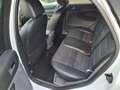 Ford Focus Focus II 2008 5p 2.0 Titanium Gpl 145cv Weiß - thumbnail 11