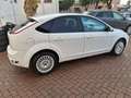 Ford Focus Focus II 2008 5p 2.0 Titanium Gpl 145cv Weiß - thumbnail 2