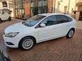 Ford Focus Focus II 2008 5p 2.0 Titanium Gpl 145cv Weiß - thumbnail 9