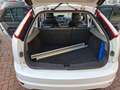 Ford Focus Focus II 2008 5p 2.0 Titanium Gpl 145cv Weiß - thumbnail 14