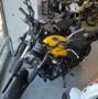 Honda CL 500 MY 2025 Giallo - thumbnail 2