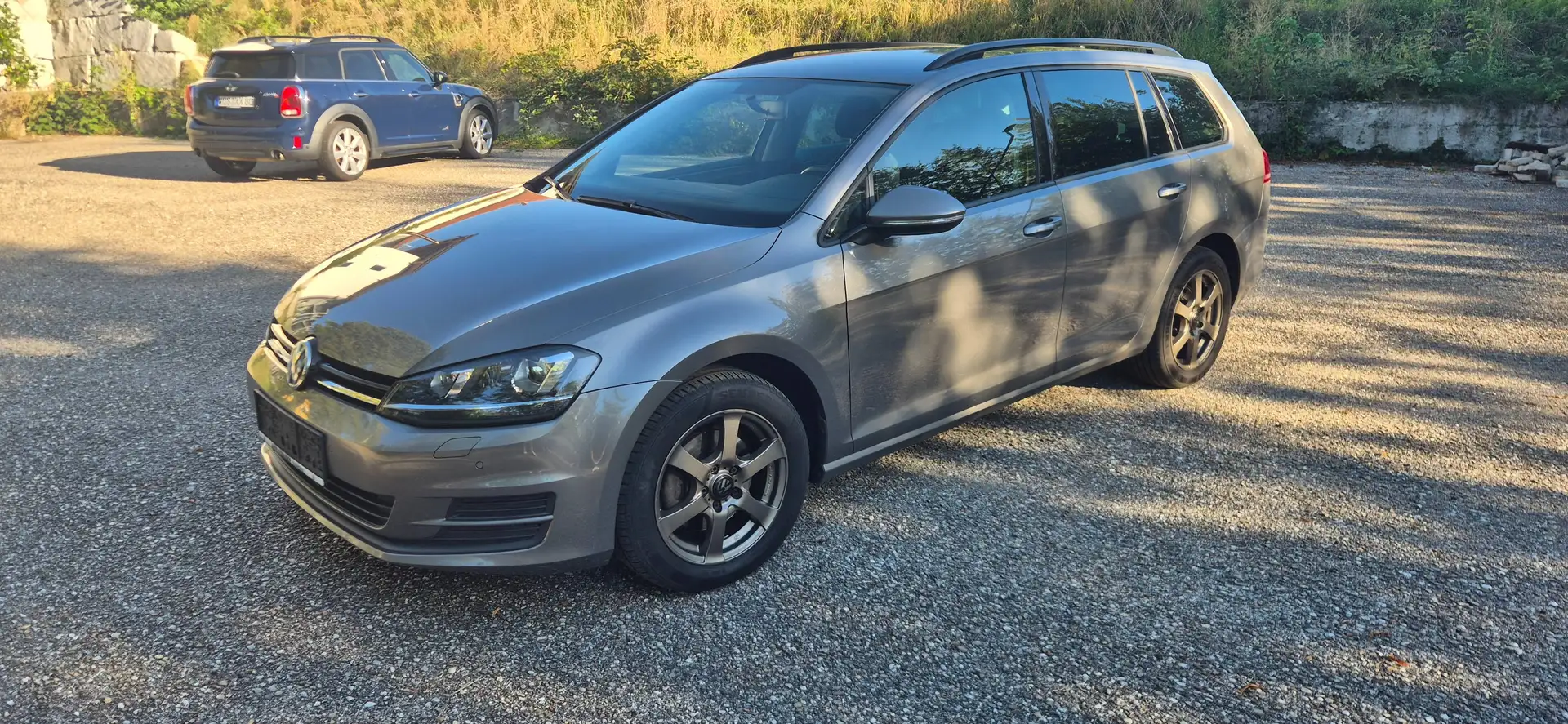 Volkswagen Golf Variant Golf Variant Trendline 1,6 TDI Trendline Bronze - 2