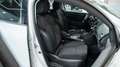Renault Megane SPORTER 1.5 BLUE DCI 116 CV NAVI LED FULL OPTIONAL Bianco - thumbnail 12
