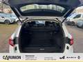 Renault Koleos LIMITED BLUE dCi 150 X-tronic Weiß - thumbnail 12