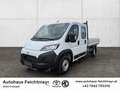 Toyota Proace Max Max Pritsche Work L3 H1 6M 4t. Weiß - thumbnail 1