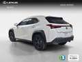 Lexus UX 300h 2.0  Plus Blanc - thumbnail 2