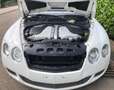 Bentley Continental GT Eleganter und sportlicher12-Zylinder Blanco - thumbnail 5