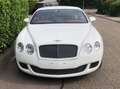 Bentley Continental GT Eleganter und sportlicher12-Zylinder Blanco - thumbnail 2