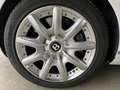Bentley Continental GT Eleganter und sportlicher12-Zylinder Blanco - thumbnail 16