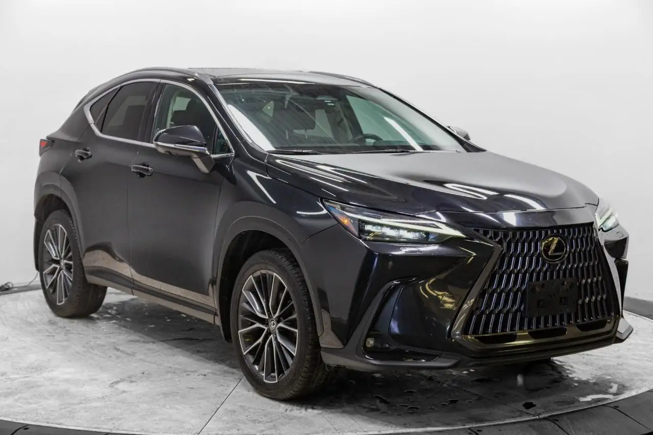 2022 Lexus NX