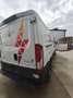 Iveco Daily 45C17 Weiß - thumbnail 5