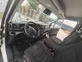 Iveco Daily 45C17 Weiß - thumbnail 12
