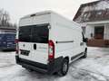 Fiat Ducato Hochr.-Kasten 33 130 123.000 Km Klima 2.H Weiß - thumbnail 4