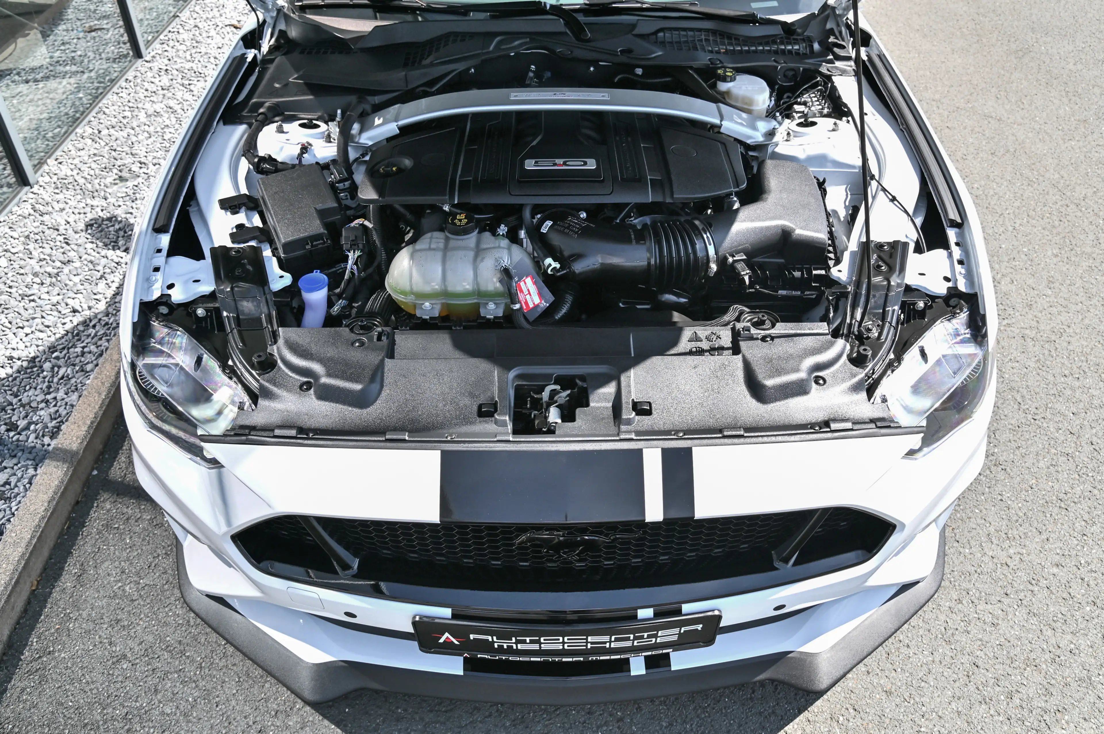 Ford Mustang Cabrio 5.0 Ti-VCT V8 GT Aut. *GRAIL !* — photo 7