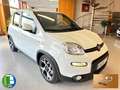 Fiat Panda 1.0 Gse Sport Hybrid Blanco - thumbnail 3