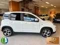 Fiat Panda 1.0 Gse Sport Hybrid Blanco - thumbnail 4