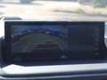 Lexus CT 200h Luxury Line Navi Kamera LM LED Gris - thumbnail 12