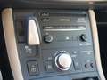 Lexus CT 200h Luxury Line Navi Kamera LM LED Gris - thumbnail 14