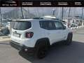 Jeep Renegade 1.6 MultiJet 120ch Brooklyn Edition MY20 Wit - thumbnail 4