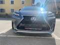 Lexus NX 300h F Sport Hybrid Aut. Grey - thumbnail 1