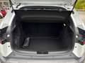 Dacia Duster Expression III TCE 130 Mild-Hybrid Weiß - thumbnail 17