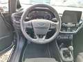 Ford Fiesta 5p 1.1 Titanium Gpl s&s 75cv my20.25 siva - thumbnail 13
