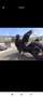 KTM 1290 Super Duke R Noir - thumbnail 3