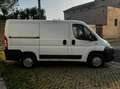 Fiat Ducato fiat ducato - thumbnail 3