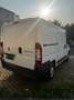 Fiat Ducato fiat ducato - thumbnail 6