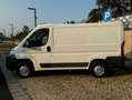 Fiat Ducato fiat ducato - thumbnail 4