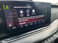 Skoda Octavia Combi RS 2.0 TDI DSG Spurhalteassitent Schwarz - thumbnail 20