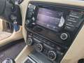 Skoda Octavia Octavia III Combi 1.6 TDI Elegance/Pano/Sitzh./Kli - thumbnail 15