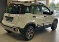 Fiat Panda Panda 1.3 mjt 16v Cross 4x4 80cv Weiß - thumbnail 6