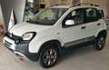 Fiat Panda Panda 1.3 mjt 16v Cross 4x4 80cv Weiß - thumbnail 3