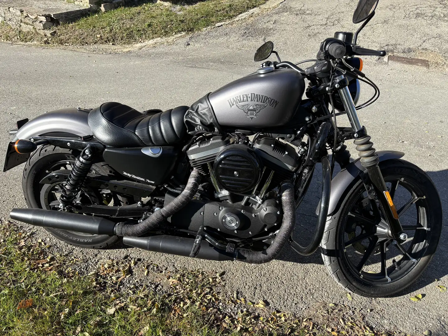 Harley-Davidson Iron 883 - 2