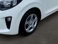Kia Picanto Edition 7 EMOTION BLUETOOTH,DAB,SITZHZG Weiß - thumbnail 6