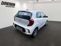 Kia Picanto Edition 7 EMOTION BLUETOOTH,DAB,SITZHZG Weiß - thumbnail 3