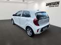 Kia Picanto Edition 7 EMOTION BLUETOOTH,DAB,SITZHZG Weiß - thumbnail 4