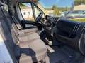 Fiat DUCATO D.CAB 7POSTI E6B   PREZZO+IVA Weiß - thumbnail 7