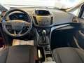 Ford C-Max C-MAX Trend *KLIMAAUTO*TEMPO*NUR 9500KM* Rot - thumbnail 10