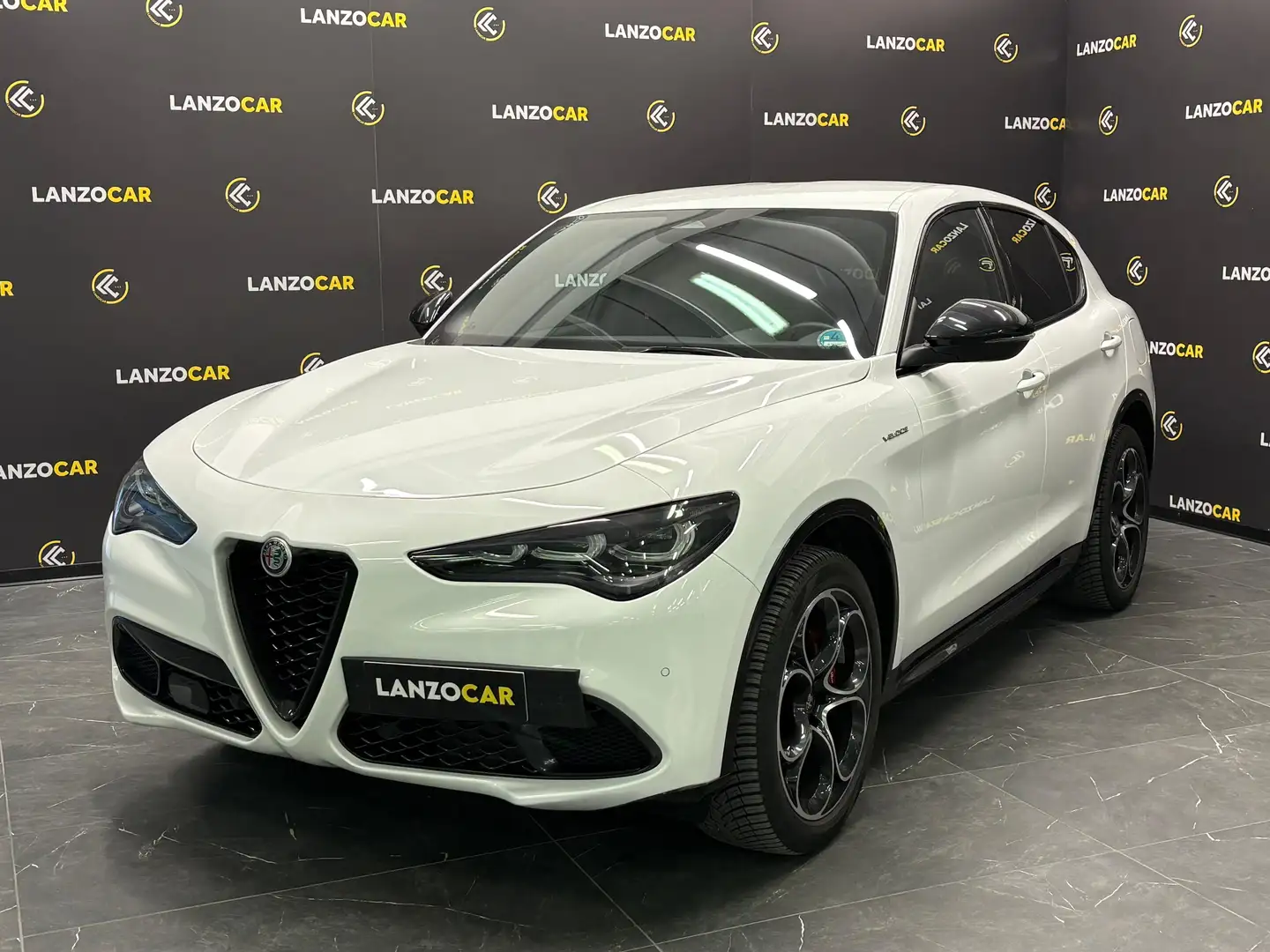 Alfa Romeo Stelvio 2.0 T VELOCE 280CV Q4 WHITE*PELLE*HARMAN KARDON* Blanc - 1
