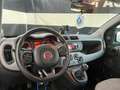 Fiat Panda 1.2 Lounge GPL - Blockshaft Schwarz - thumbnail 10