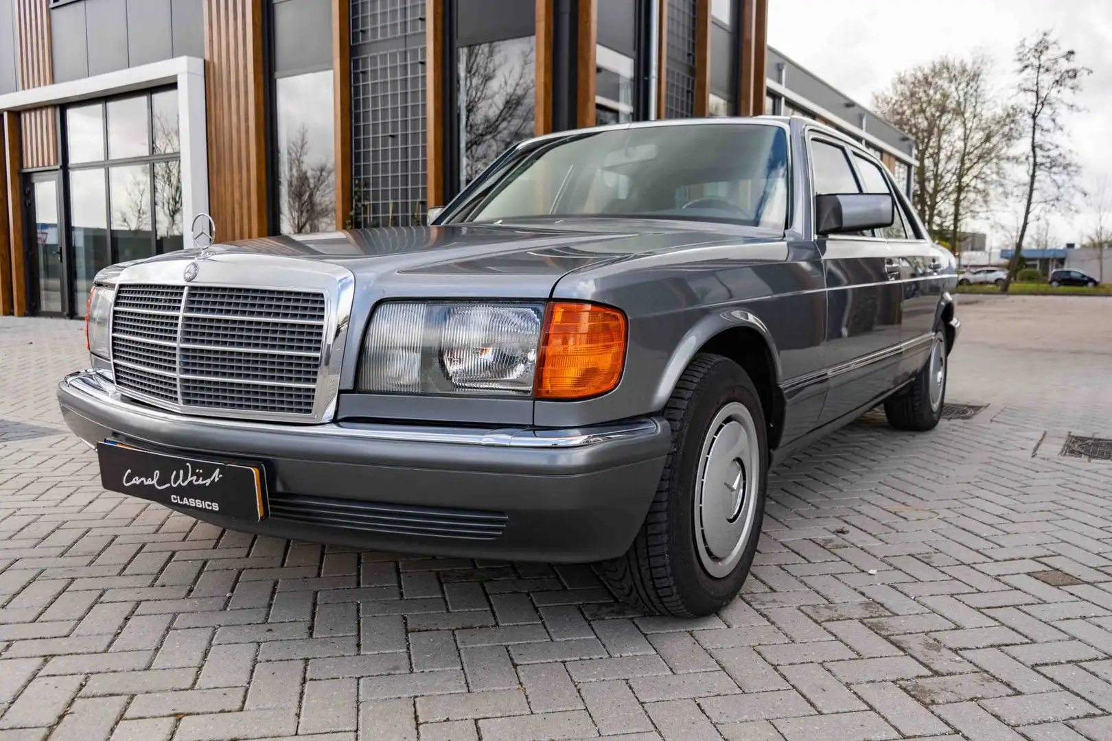 Mercedes-Benz S 260 SE Gris - 2