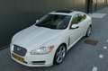 Jaguar XF 4.2 V8 SV8 Supercharged 426pk Schuifdak Youngtimer Wit - thumbnail 19